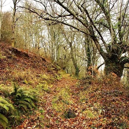 Holiday home Escapada Rural Con Encanto Y Barbacoa En Galicia