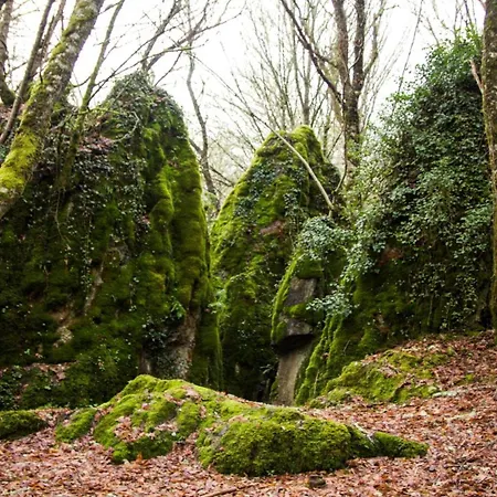 Escapada Rural Con Encanto Y Barbacoa En Galicia * Lugo